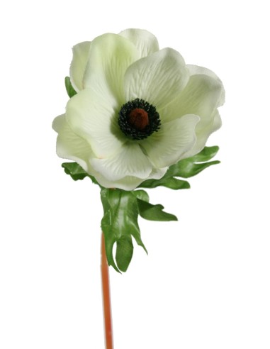 flor de anemona