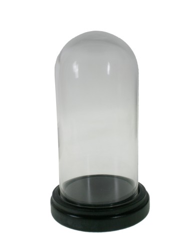 Cloche verre sur socle bois (h)26,5x(d)17cm transparent - 33027